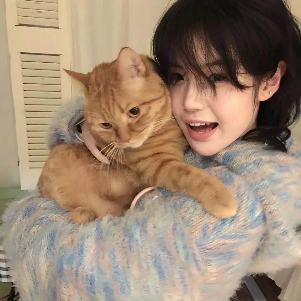 鲅鱼恋上猫